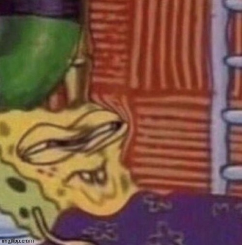 image tagged in blank white template | made w/ Imgflip meme maker