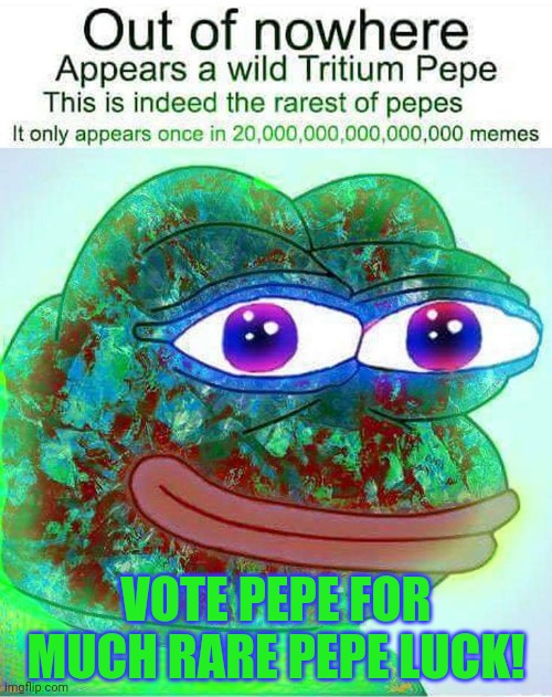 Vote pepe party | VOTE PEPE FOR MUCH RARE PEPE LUCK! | image tagged in vote,pepe,party,just dew it,all the cool kids are voting pepe | made w/ Imgflip meme maker