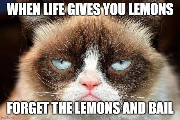 Grumpy Cat Not Amused Meme | WHEN LIFE GIVES YOU LEMONS FORGET THE LEMONS AND BAIL | image tagged in memes,grumpy cat not amused,grumpy cat | made w/ Imgflip meme maker