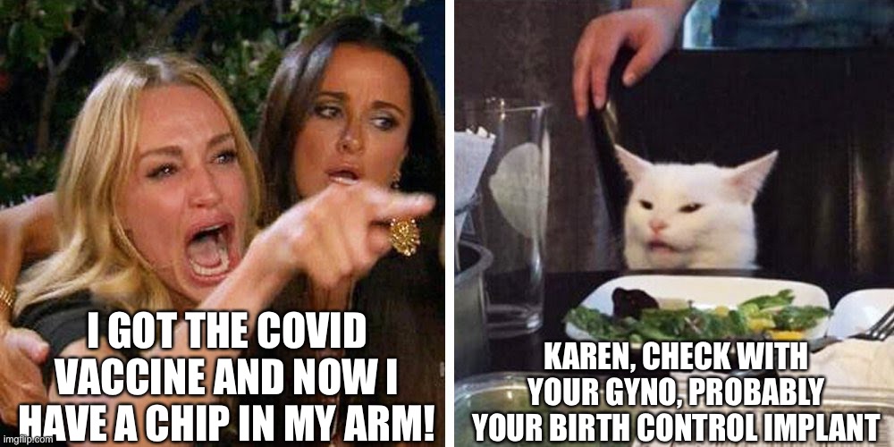 I got the Covid vaccine! Now I have a chip in my arm! | I GOT THE COVID VACCINE AND NOW I HAVE A CHIP IN MY ARM! KAREN, CHECK WITH YOUR GYNO, PROBABLY YOUR BIRTH CONTROL IMPLANT | image tagged in smudge the cat,covid vaccine,covid vaccine chip implant | made w/ Imgflip meme maker