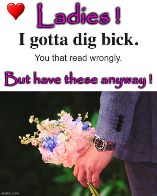 Ladies ! | Ladies ! But have these anyway ! | image tagged in big gun | made w/ Imgflip meme maker