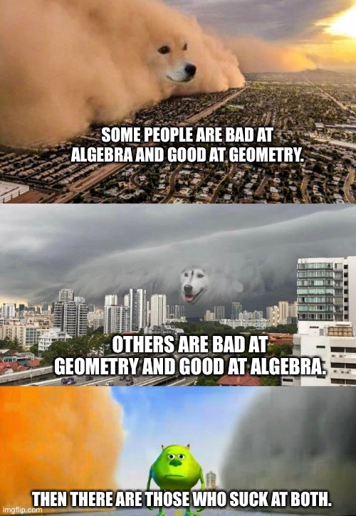 Math | SOME PEOPLE ARE BAD AT ALGEBRA AND GOOD AT GEOMETRY. OTHERS ARE BAD AT GEOMETRY AND GOOD AT ALGEBRA. THEN THERE ARE THOSE WHO SUCK AT BOTH. | image tagged in sandstorm tsunami mike | made w/ Imgflip meme maker