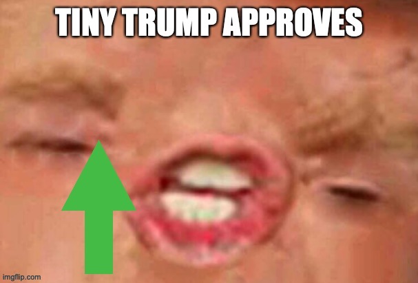 Tiny Trump approves | image tagged in tiny trump approves | made w/ Imgflip meme maker