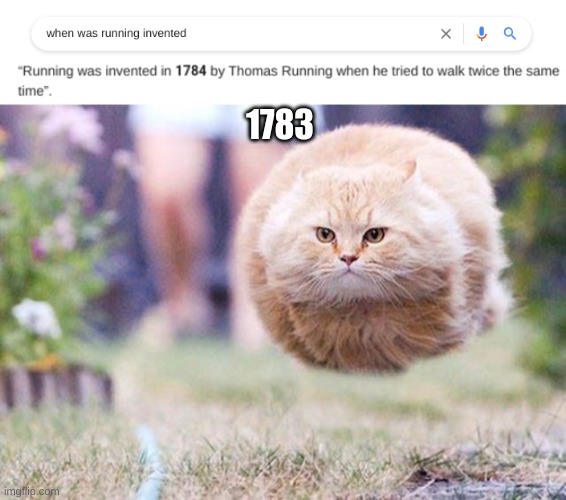 1783 | image tagged in hovercat | made w/ Imgflip meme maker