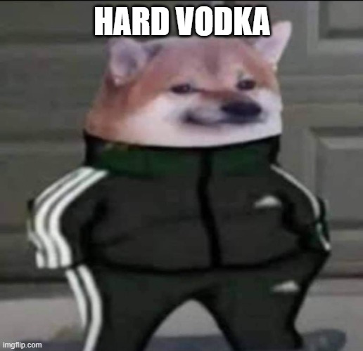 Slav doge | HARD VODKA | image tagged in slav doge | made w/ Imgflip meme maker