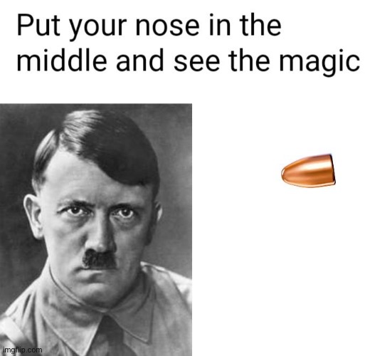 image tagged in hitler,bullets | made w/ Imgflip meme maker