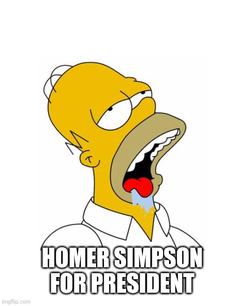 Homer Simpson Drooling | HOMER SIMPSON FOR PRESIDENT | image tagged in homer simpson drooling | made w/ Imgflip meme maker