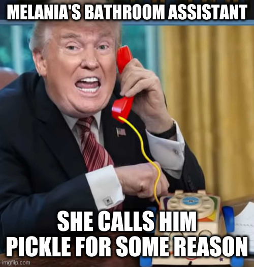 not a gurkin | MELANIA'S BATHROOM ASSISTANT SHE CALLS HIM PICKLE FOR SOME REASON | image tagged in i'm the president | made w/ Imgflip meme maker