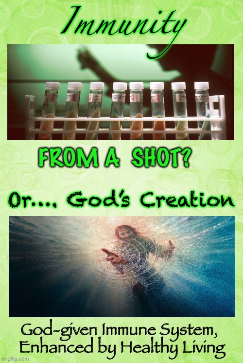 The Shortcut?   Or, the Right Way | Immunity; FROM A  SHOT? Or…. God’s Creation; God-given Immune System, 
Enhanced by Healthy Living | image tagged in vaccine,immunity,poison in a needle,god provides,creation,nobody gets rich from healthy people | made w/ Imgflip meme maker