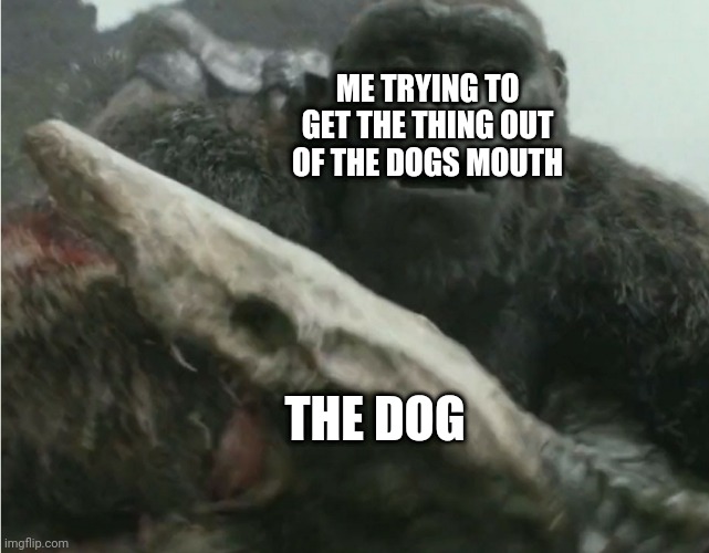What the dog doin | ME TRYING TO GET THE THING OUT OF THE DOGS MOUTH; THE DOG | image tagged in skullcrawler bites kongs hand | made w/ Imgflip meme maker