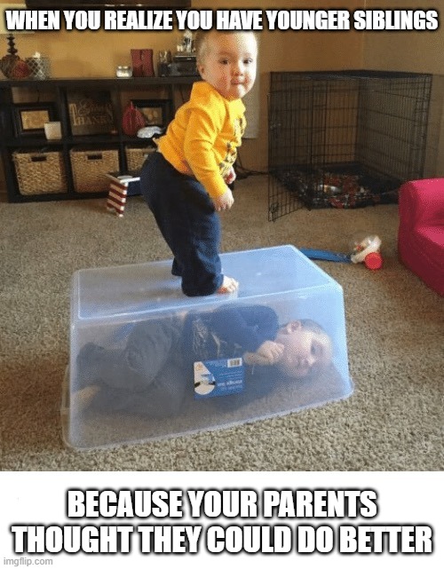 Stop your sibling | WHEN YOU REALIZE YOU HAVE YOUNGER SIBLINGS; BECAUSE YOUR PARENTS THOUGHT THEY COULD DO BETTER | image tagged in stop your sibling | made w/ Imgflip meme maker