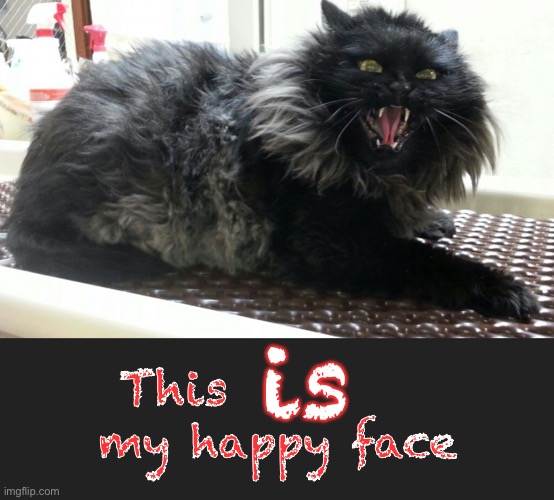 My wife, in the morning | is; This; my happy face | image tagged in smiling puss,happy so happy,yikes,i said show me your true nature,good request for before the wedding,too late now | made w/ Imgflip meme maker