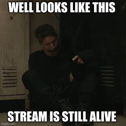 NF_FAN |  WELL LOOKS LIKE THIS; STREAM IS STILL ALIVE | image tagged in nf_fan | made w/ Imgflip meme maker