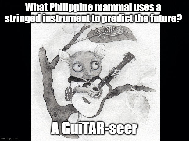 Mammal that sees the future | What Philippine mammal uses a stringed instrument to predict the future? A GuiTAR-seer | image tagged in animal,philippines,pun,guitar | made w/ Imgflip meme maker