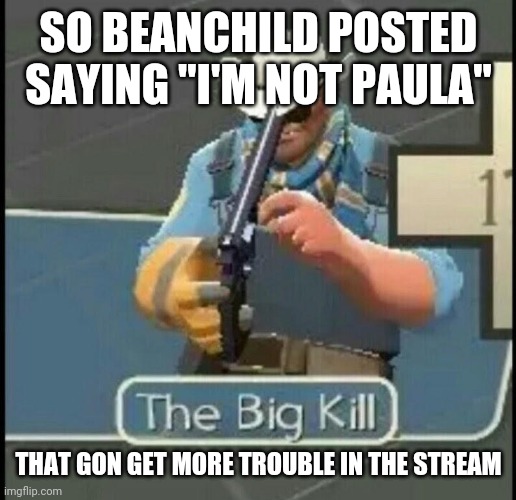 hope people don't spread it | SO BEANCHILD POSTED SAYING "I'M NOT PAULA"; THAT GON GET MORE TROUBLE IN THE STREAM | image tagged in the big kill | made w/ Imgflip meme maker