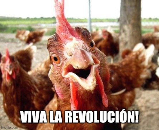 Chicken | VIVA LA REVOLUCIÓN! | image tagged in chicken | made w/ Imgflip meme maker