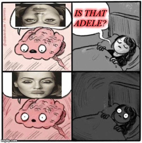 Brain Before Sleep | IS THAT ADELE? | image tagged in brain before sleep | made w/ Imgflip meme maker