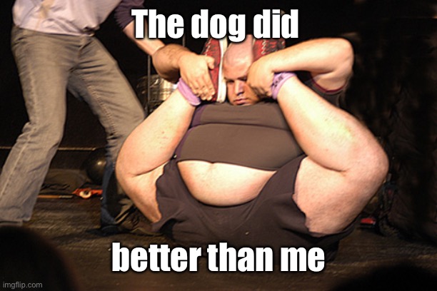 chubby contortionist | The dog did better than me | image tagged in chubby contortionist | made w/ Imgflip meme maker