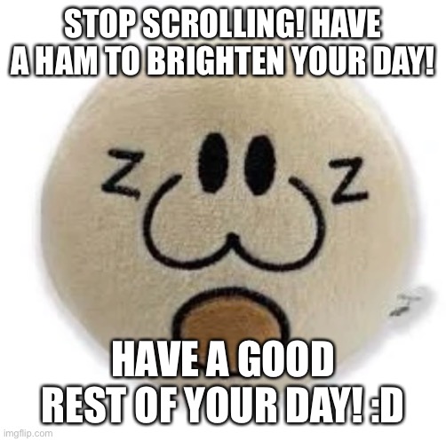 Wholesome name | STOP SCROLLING! HAVE A HAM TO BRIGHTEN YOUR DAY! HAVE A GOOD REST OF YOUR DAY! :D | image tagged in ham,stop scrolling,have a good day,y,e,s | made w/ Imgflip meme maker
