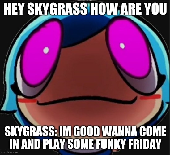 doorview sky | HEY SKYGRASS HOW ARE YOU; SKYGRASS: IM GOOD WANNA COME IN AND PLAY SOME FUNKY FRIDAY | image tagged in doorview sky | made w/ Imgflip meme maker