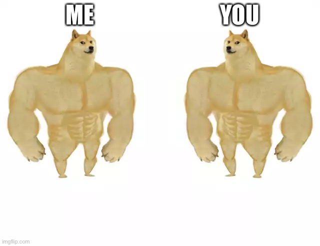 Buff Doge vs Buff Doge | ME; YOU | image tagged in buff doge vs buff doge | made w/ Imgflip meme maker