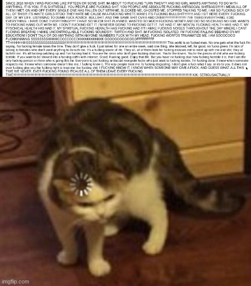 you prolly needa zoom in | image tagged in loading cat | made w/ Imgflip meme maker