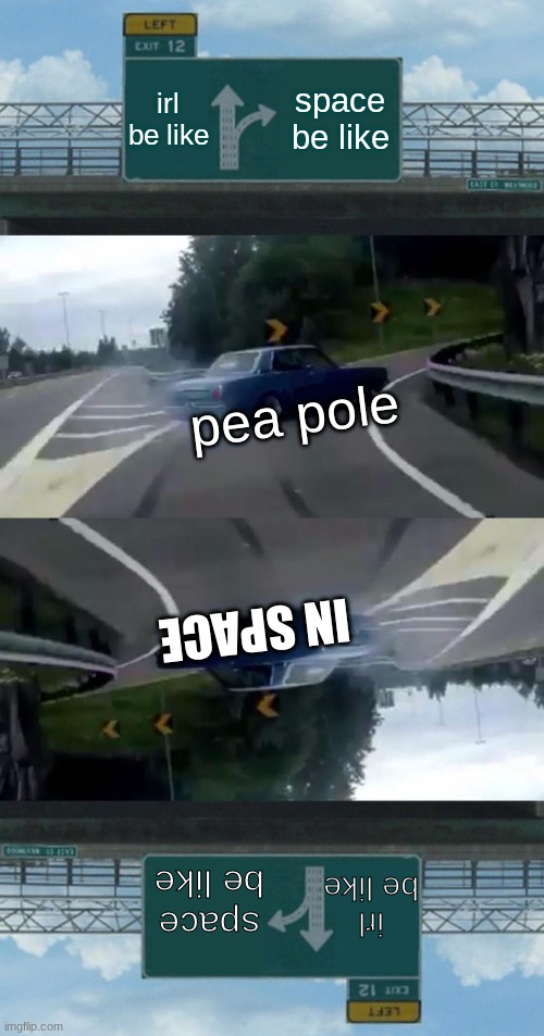 pea pole is a ward | irl be like; space be like; pea pole; IN SPACE; space be like; irl be like | image tagged in memes,left exit 12 off ramp,swerving car | made w/ Imgflip meme maker