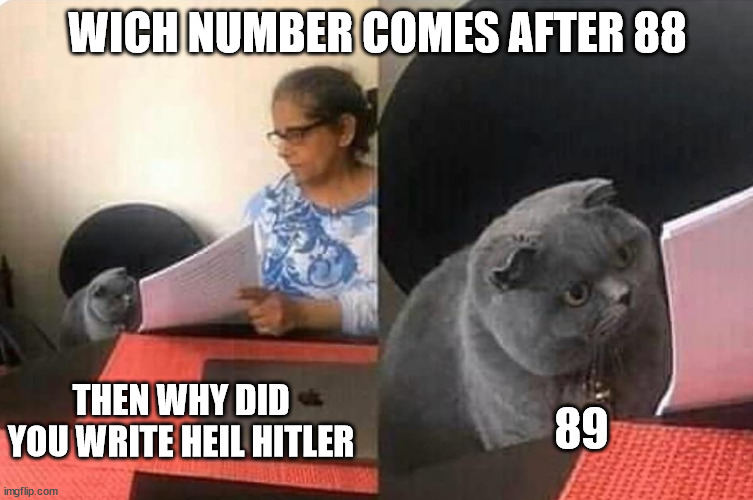 Cat teacher | WICH NUMBER COMES AFTER 88; 89; THEN WHY DID YOU WRITE HEIL HITLER | image tagged in cat teacher | made w/ Imgflip meme maker