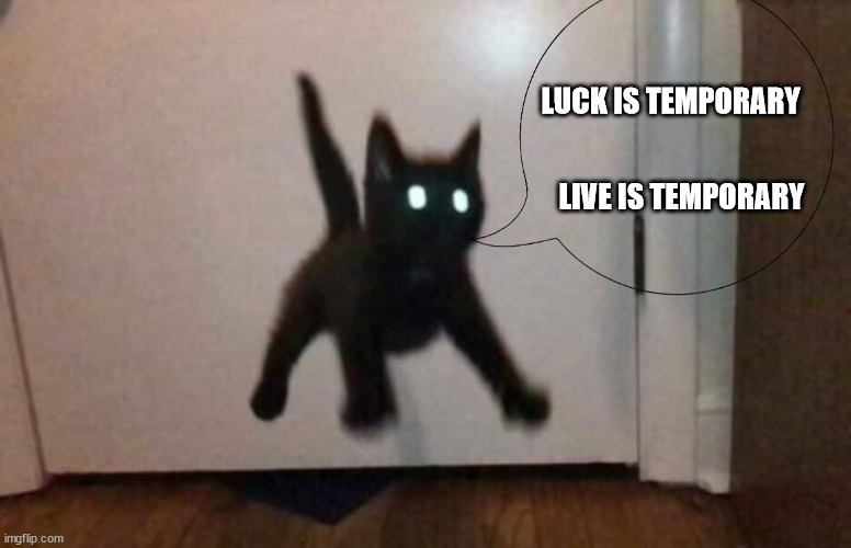 Demon Cat says | LUCK IS TEMPORARY; LIVE IS TEMPORARY | image tagged in demon cat says | made w/ Imgflip meme maker