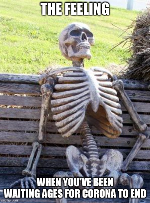 Waiting Skeleton Meme | THE FEELING; WHEN YOU'VE BEEN WAITING AGES FOR CORONA TO END | image tagged in memes,waiting skeleton | made w/ Imgflip meme maker
