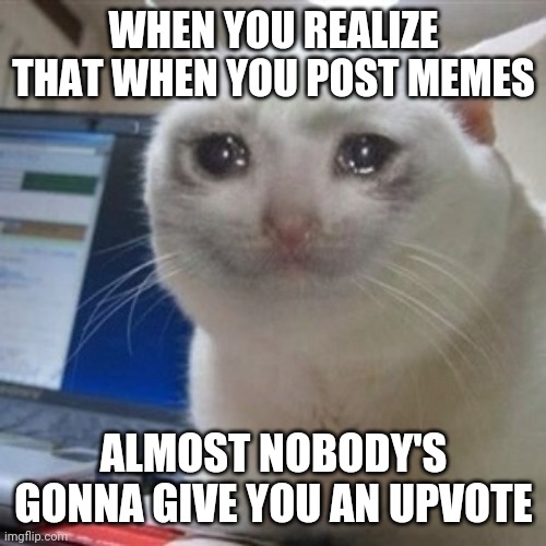 Crying cat | WHEN YOU REALIZE THAT WHEN YOU POST MEMES; ALMOST NOBODY'S GONNA GIVE YOU AN UPVOTE | image tagged in crying cat | made w/ Imgflip meme maker