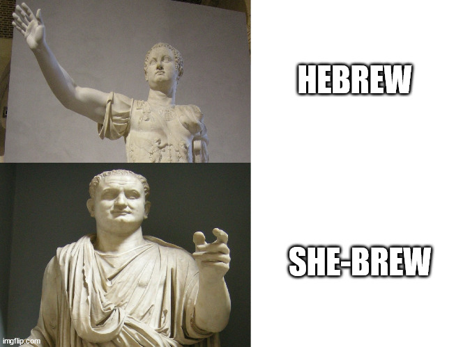 Titus be like | HEBREW; SHE-BREW | image tagged in drake meme but it's emperor titus,ancient rome,roman empire | made w/ Imgflip meme maker