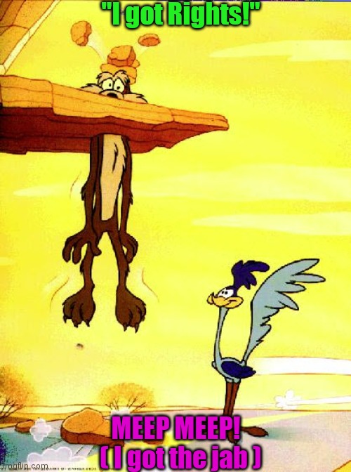 Roadrunner & Coyote | "I got Rights!"; MEEP MEEP!   ( I got the jab ) | image tagged in roadrunner coyote | made w/ Imgflip meme maker