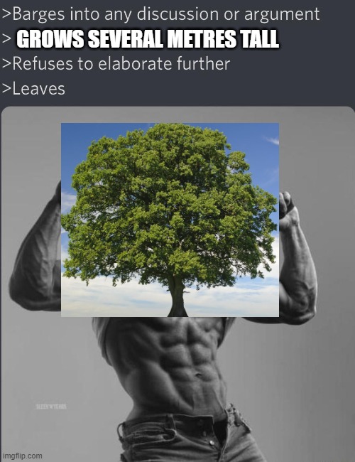 leaves | GROWS SEVERAL METRES TALL | image tagged in chad leaves,memes,trees,tree | made w/ Imgflip meme maker