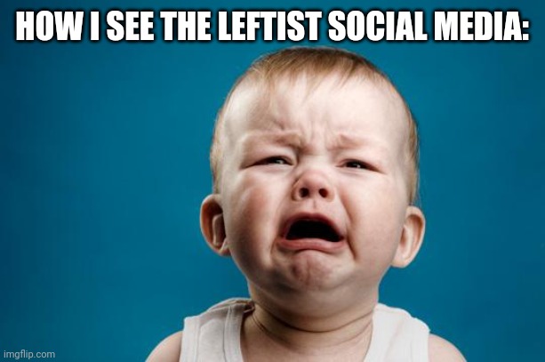 BABY CRYING | HOW I SEE THE LEFTIST SOCIAL MEDIA: | image tagged in baby crying | made w/ Imgflip meme maker