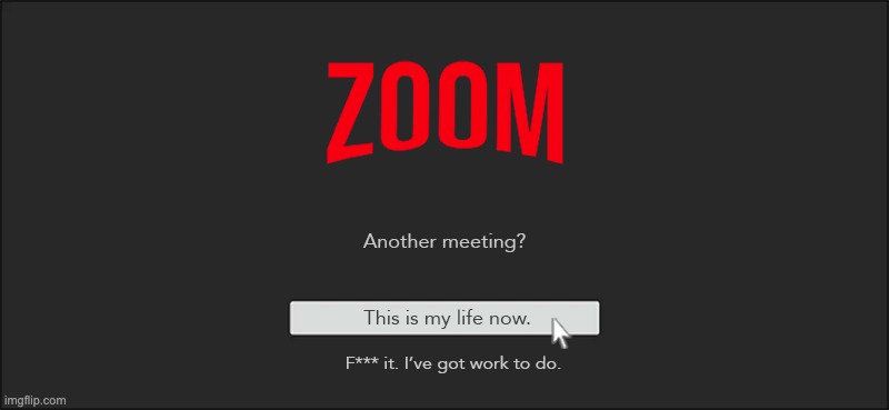 Zoom Netflix | image tagged in netflix,continue watching,zoom,work,work meetings,zoom meetings | made w/ Imgflip meme maker