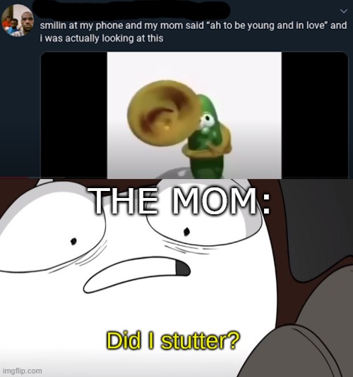 THE MOM: | image tagged in did i stutter | made w/ Imgflip meme maker