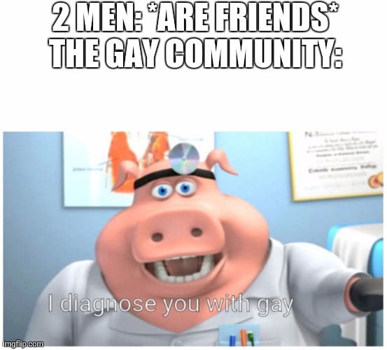 Why? | 2 MEN: *ARE FRIENDS*
THE GAY COMMUNITY: | image tagged in blank white template,i diagnose you with gay | made w/ Imgflip meme maker