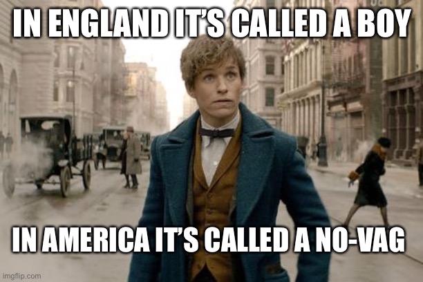 The Crimes of Grindewald SUCKS | IN ENGLAND IT’S CALLED A BOY; IN AMERICA IT’S CALLED A NO-VAG | image tagged in fantastic beasts timesheet meme,funny | made w/ Imgflip meme maker