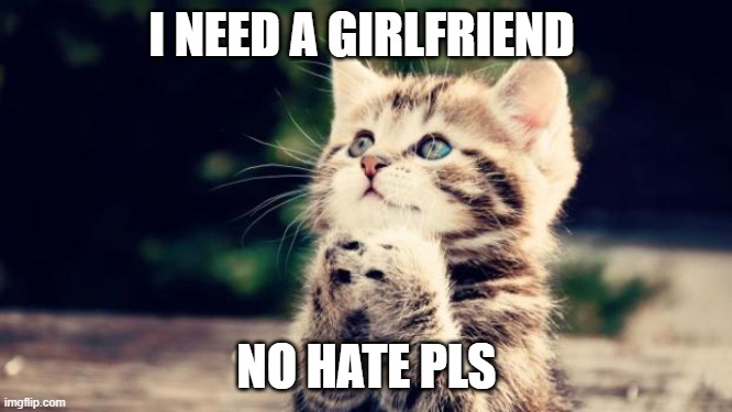 need girl friend | I NEED A GIRLFRIEND; NO HATE PLS | image tagged in cute kitten,need gf | made w/ Imgflip meme maker