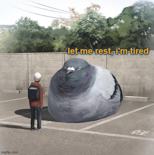 Beeg Birb | let me rest, i'm tired | image tagged in beeg birb | made w/ Imgflip meme maker