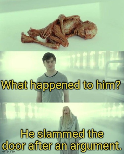 And that's why you never slam your doors, folks! | What happened to him? He slammed the door after an argument. | image tagged in dead baby voldemort / what happened to him,door,argument | made w/ Imgflip meme maker