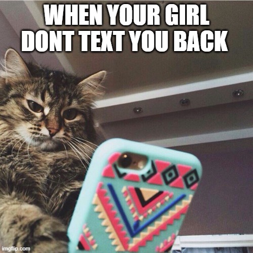 WHEN YOUR GIRL DONT TEXT YOU BACK | image tagged in cat,funny memes | made w/ Imgflip meme maker
