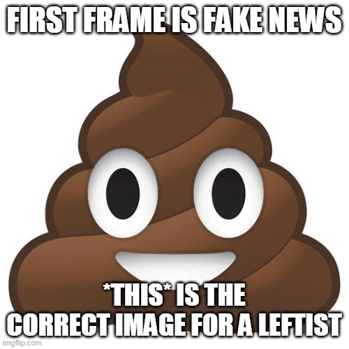 poop | FIRST FRAME IS FAKE NEWS *THIS* IS THE CORRECT IMAGE FOR A LEFTIST | image tagged in poop | made w/ Imgflip meme maker