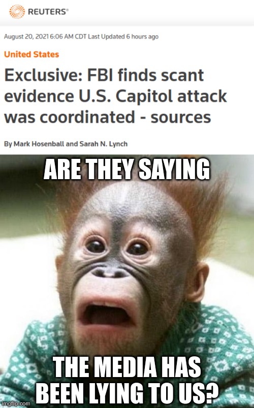 Who would believe that the people who have been lying for the past 4 years, would be lying now? | ARE THEY SAYING; THE MEDIA HAS BEEN LYING TO US? | image tagged in shocked monkey,fake news | made w/ Imgflip meme maker