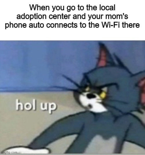 HMMMMMMMMMMMM | When you go to the local adoption center and your mom's phone auto connects to the Wi-Fi there | image tagged in hol up,tom and jerry,funny,adoption,barney will eat all of your delectable biscuits,lol | made w/ Imgflip meme maker
