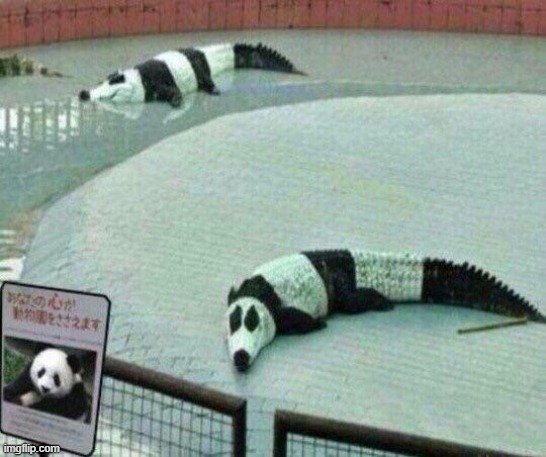 The pandagators, can you beat them? | made w/ Imgflip meme maker