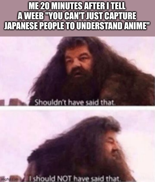 Shouldn't have said that | ME 20 MINUTES AFTER I TELL A WEEB "YOU CAN'T JUST CAPTURE JAPANESE PEOPLE TO UNDERSTAND ANIME" | image tagged in shouldn't have said that | made w/ Imgflip meme maker