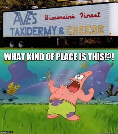 What kind of place is this? | image tagged in what kind of place is this,memes,meme,signs | made w/ Imgflip meme maker