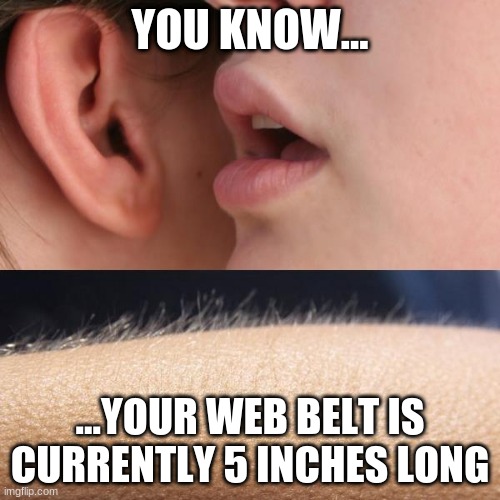 Your web belt is too long during inspection | YOU KNOW... ...YOUR WEB BELT IS CURRENTLY 5 INCHES LONG | image tagged in whisper and goosebumps,jrotc | made w/ Imgflip meme maker
